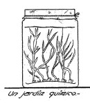 JARDIN químico - Como hacer un JARDIN QUIMICO