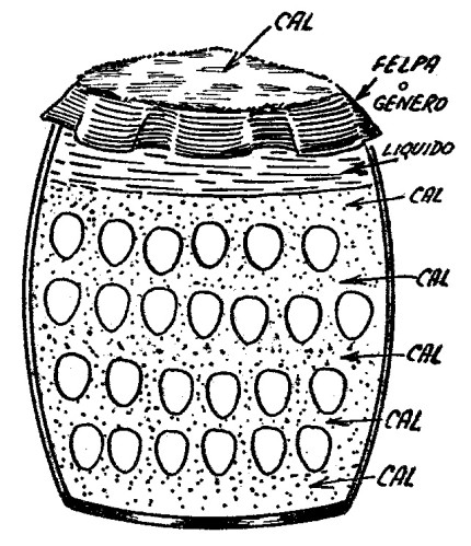 como conservar los huevos frescos