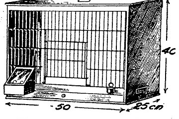 Como hacer - Los CANARIOS 6