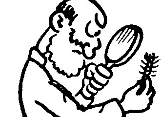 Como Hacer – 20 CURIOSIDADES – ¿Sabías que?