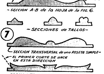tallar en madera 5
